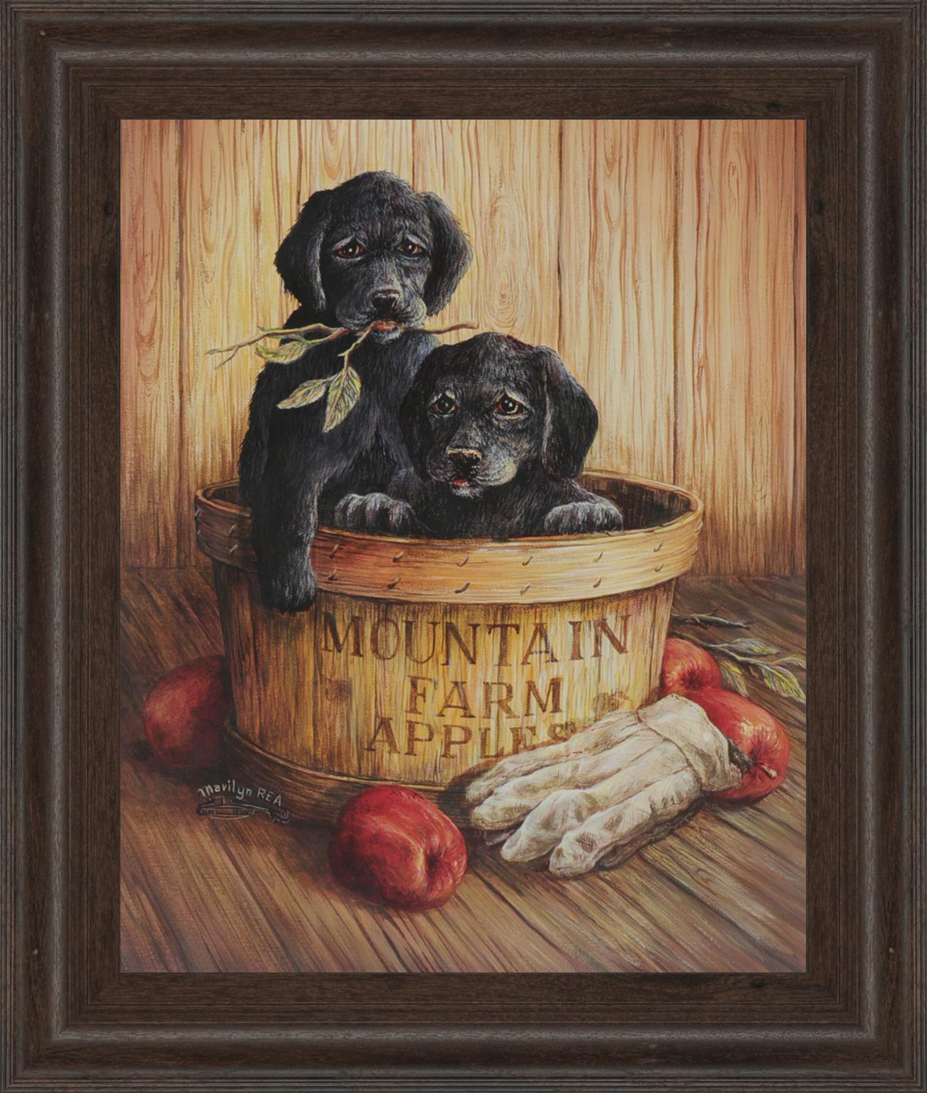 Promotional Line 22X26 22X26 Framed Print