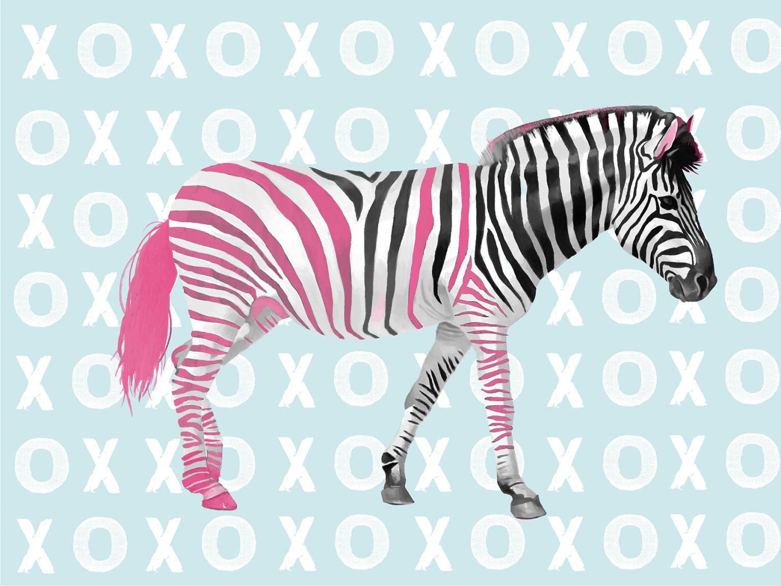 Xo Zebra By Lucca Sheppard Giclee Canvas