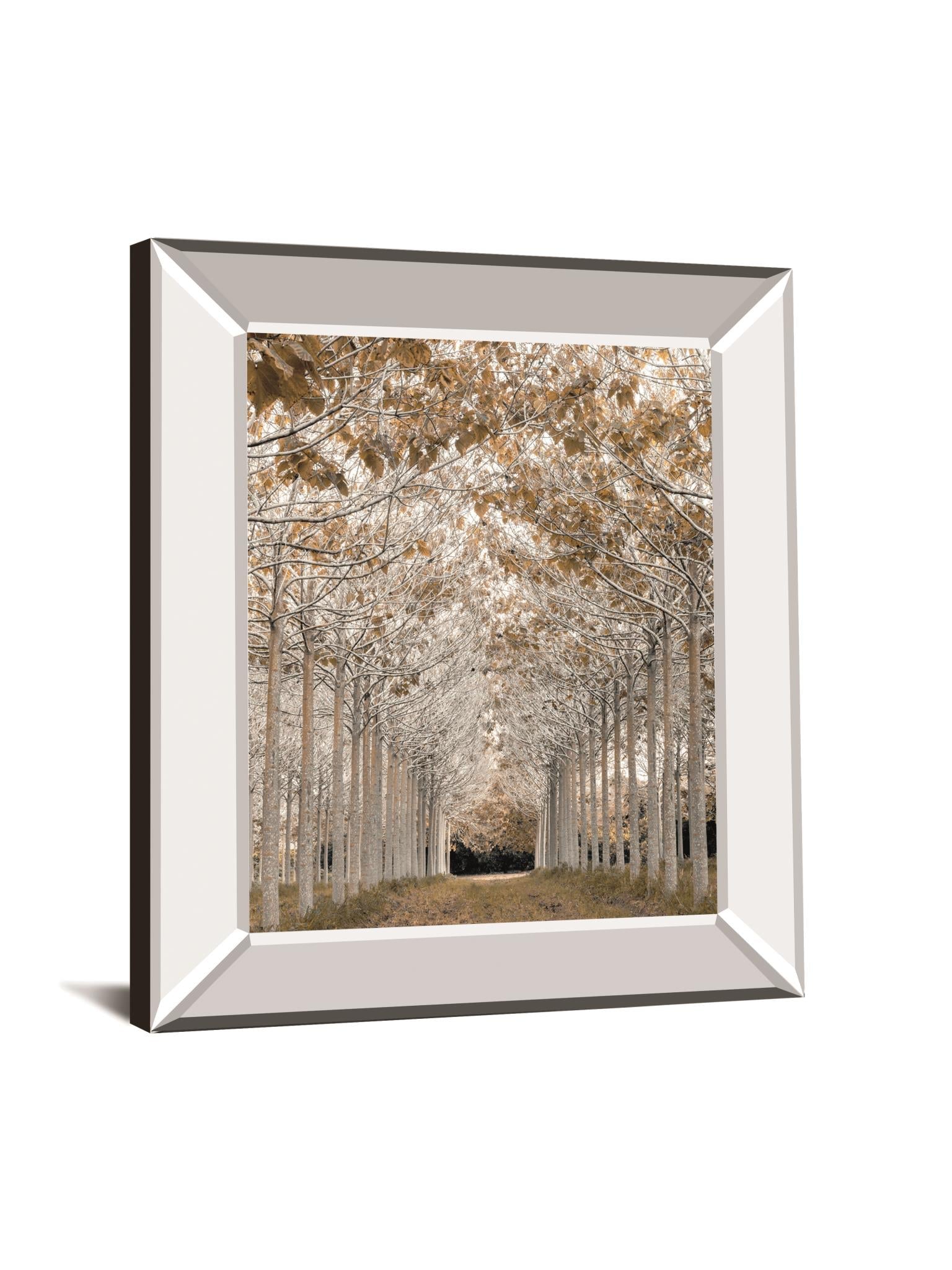 White Gold By Assaf Frank 22X26 Mirror Frame Print