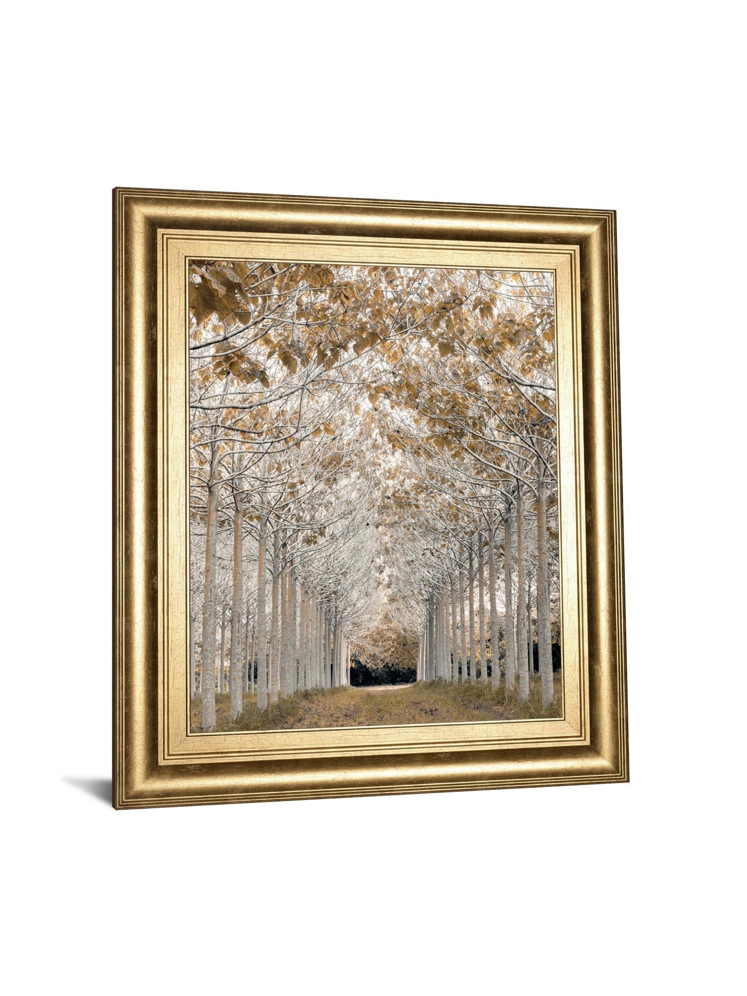 White Gold By Assaf Frank 22X26 Framed Print