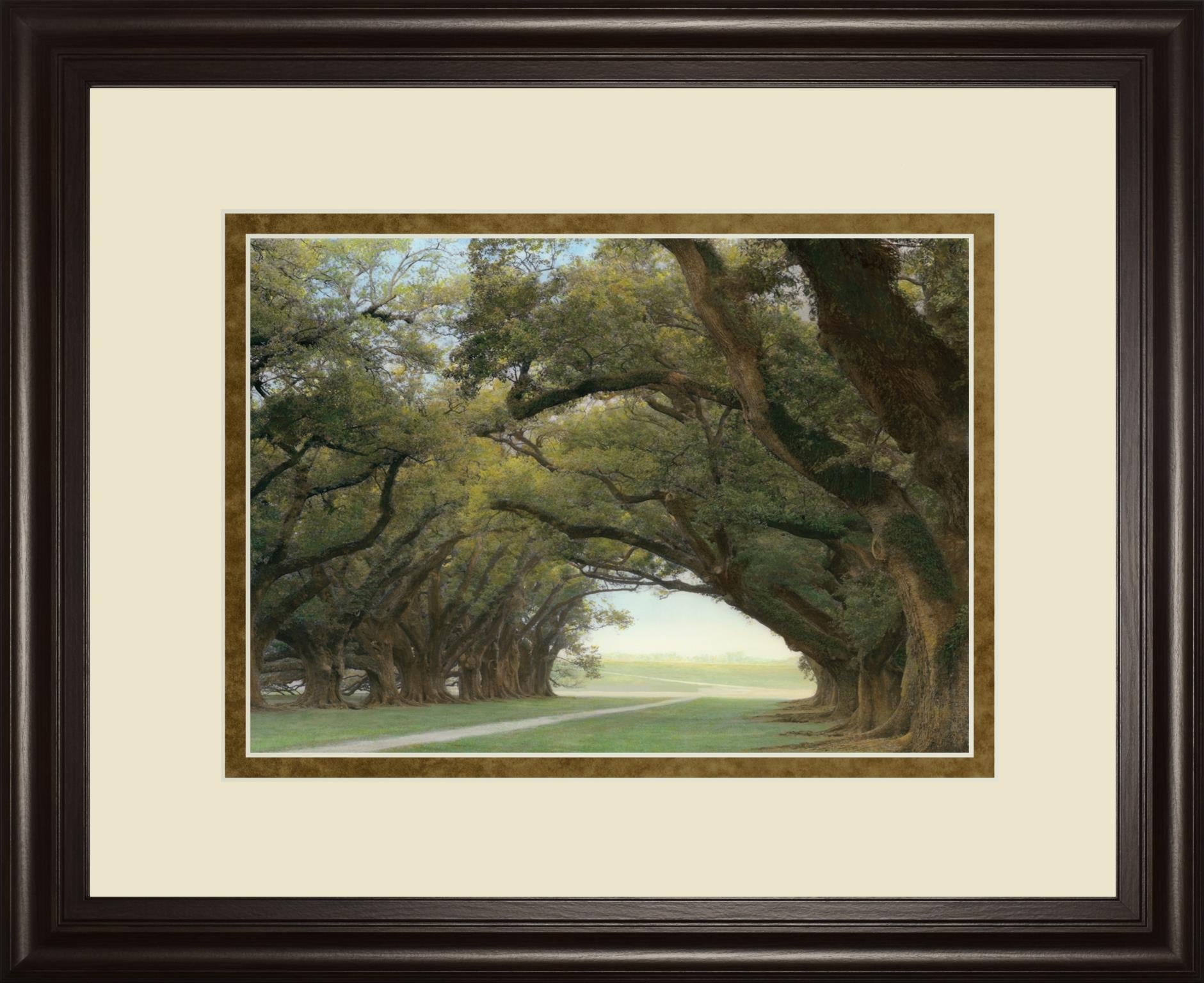 Alley Of The Oaks By William Guion ***Monl*** 34X40 Framed Print