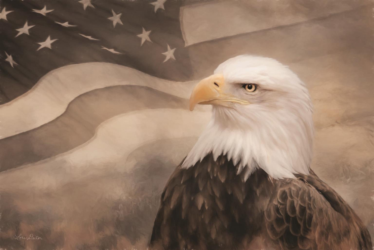 Us Symbols By Lori Deiter (Small)(Framed) Giclee Canvas