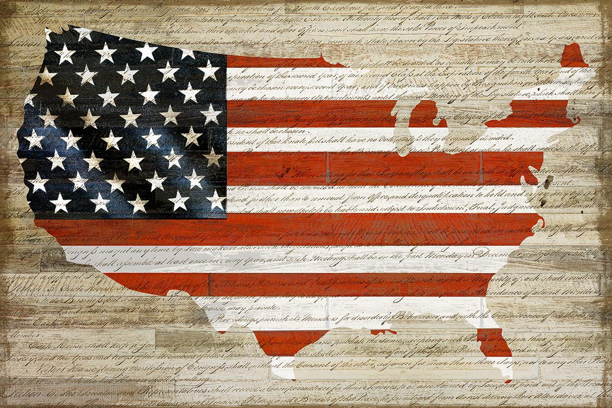 American Flag By Daniela Santiago (Framed)(Small) Giclee Canvas