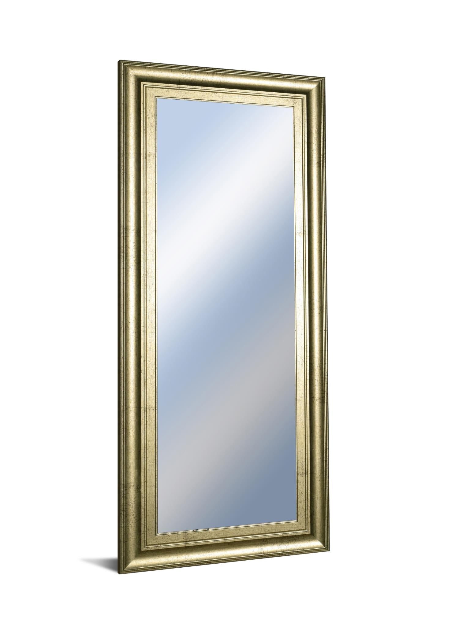 18X42 Promotional Mirror Frame #40 18X42 Framed Print