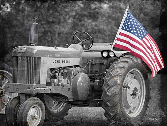 American Spirit By Jennifer Rigsby (Small) Giclee Canvas