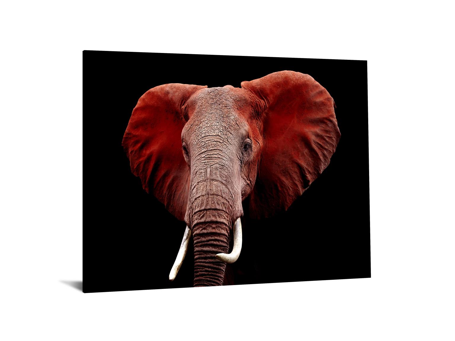 Temp Glass W/Foil - Red Elephant Tempered Glass