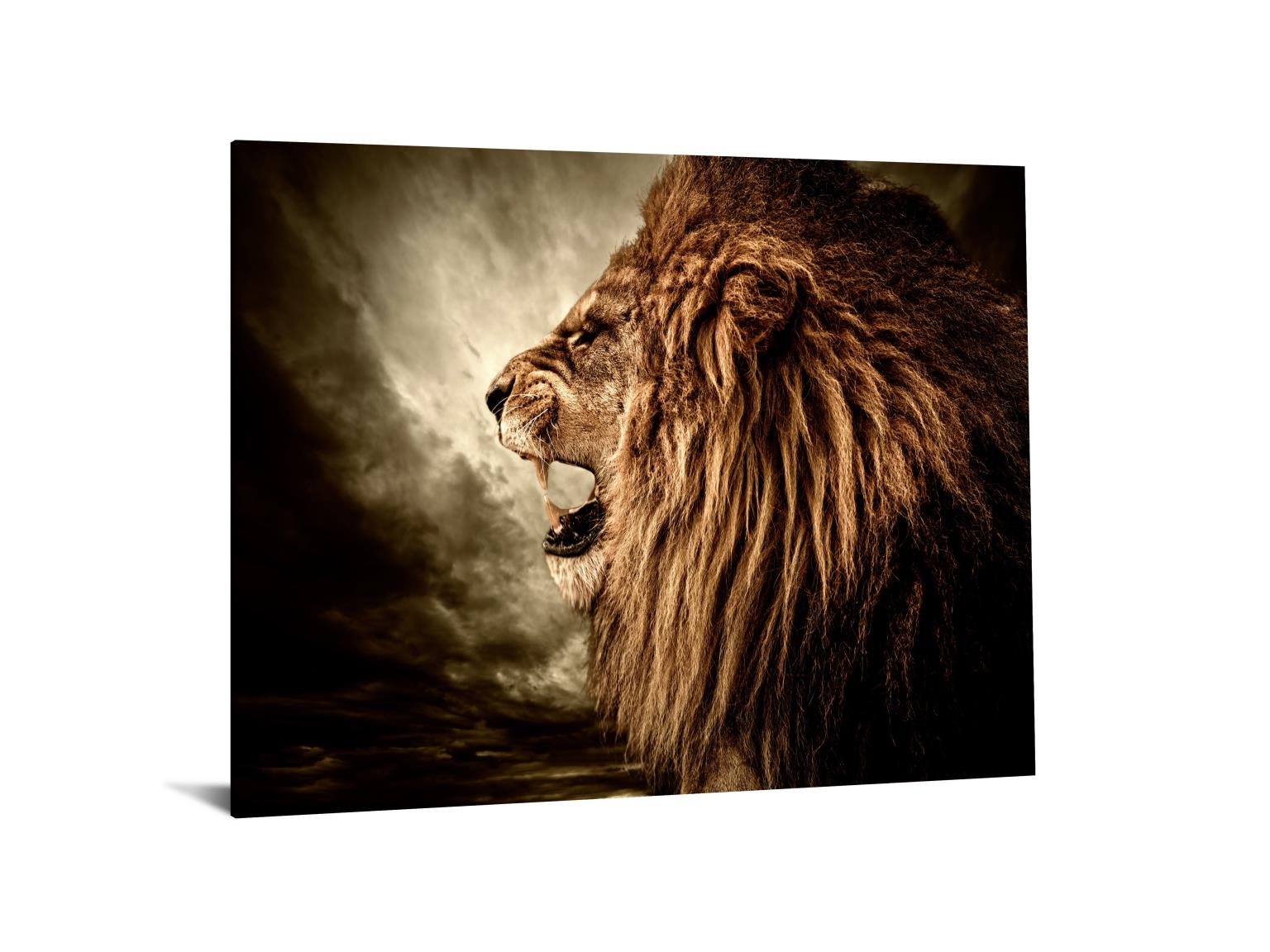 Temp Glass W/Foil - Lion Side Profile Tempered Glass