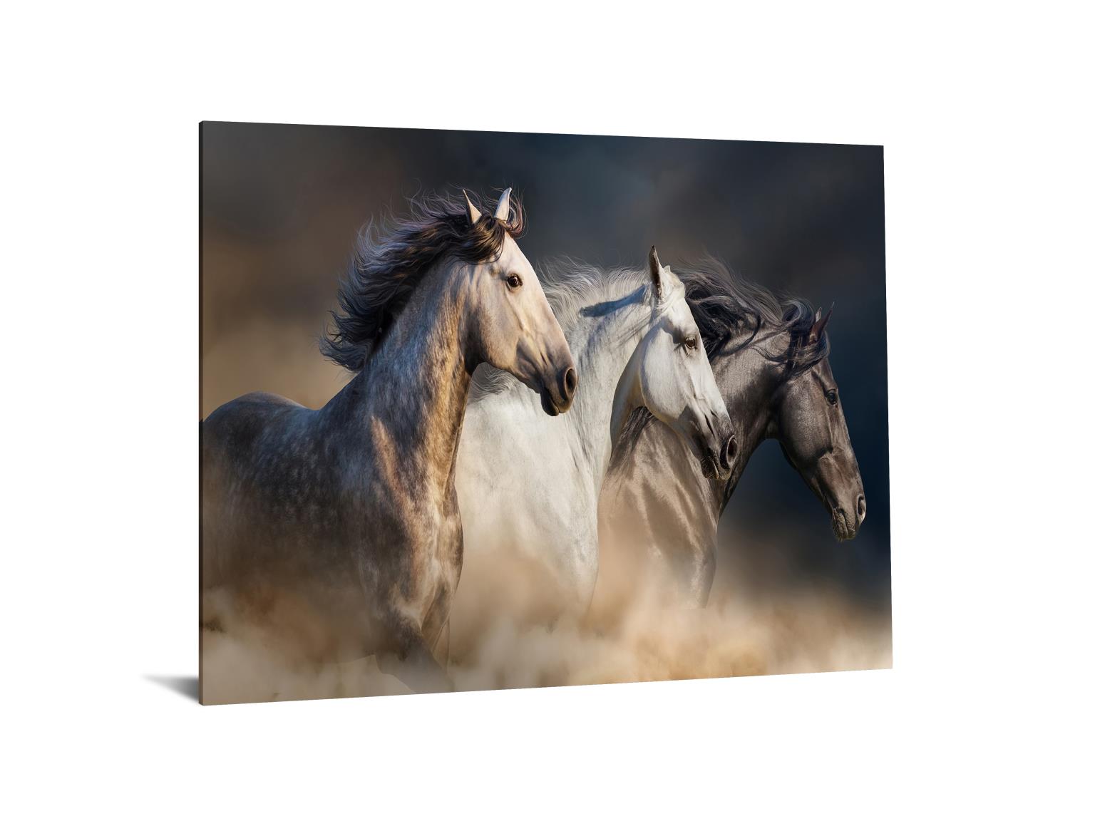 Temp Glass W/Foil - 3 Horse Tempered Glass