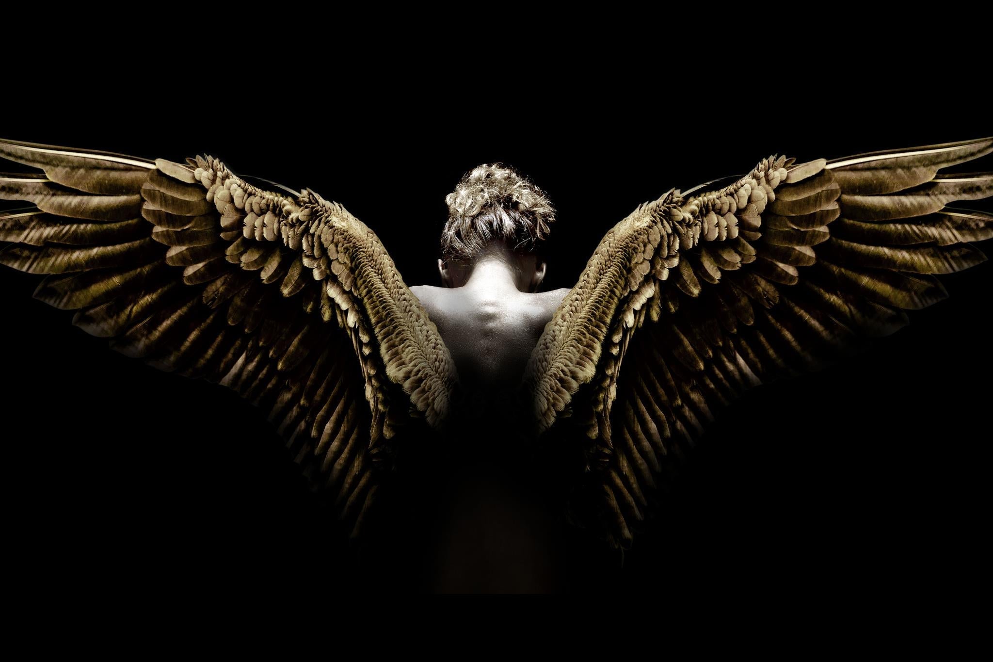 Temp Glass W/Foil - Spread Wings Tempered Glass