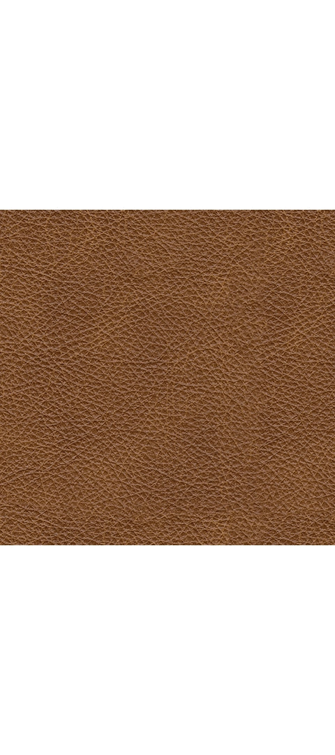 Carianna Queen Sofa Sleeper