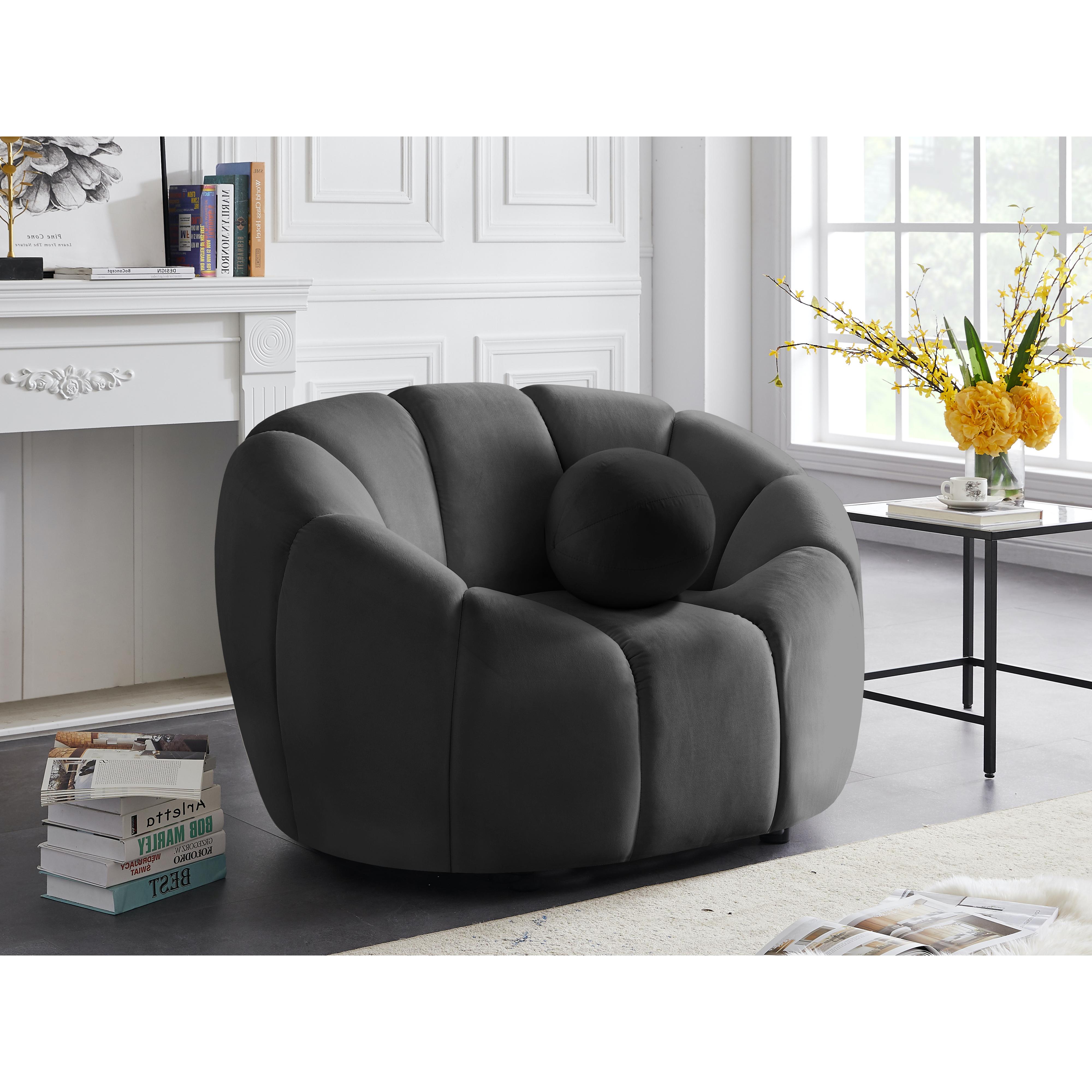 Meridian Elijah Grey Velvet Chair