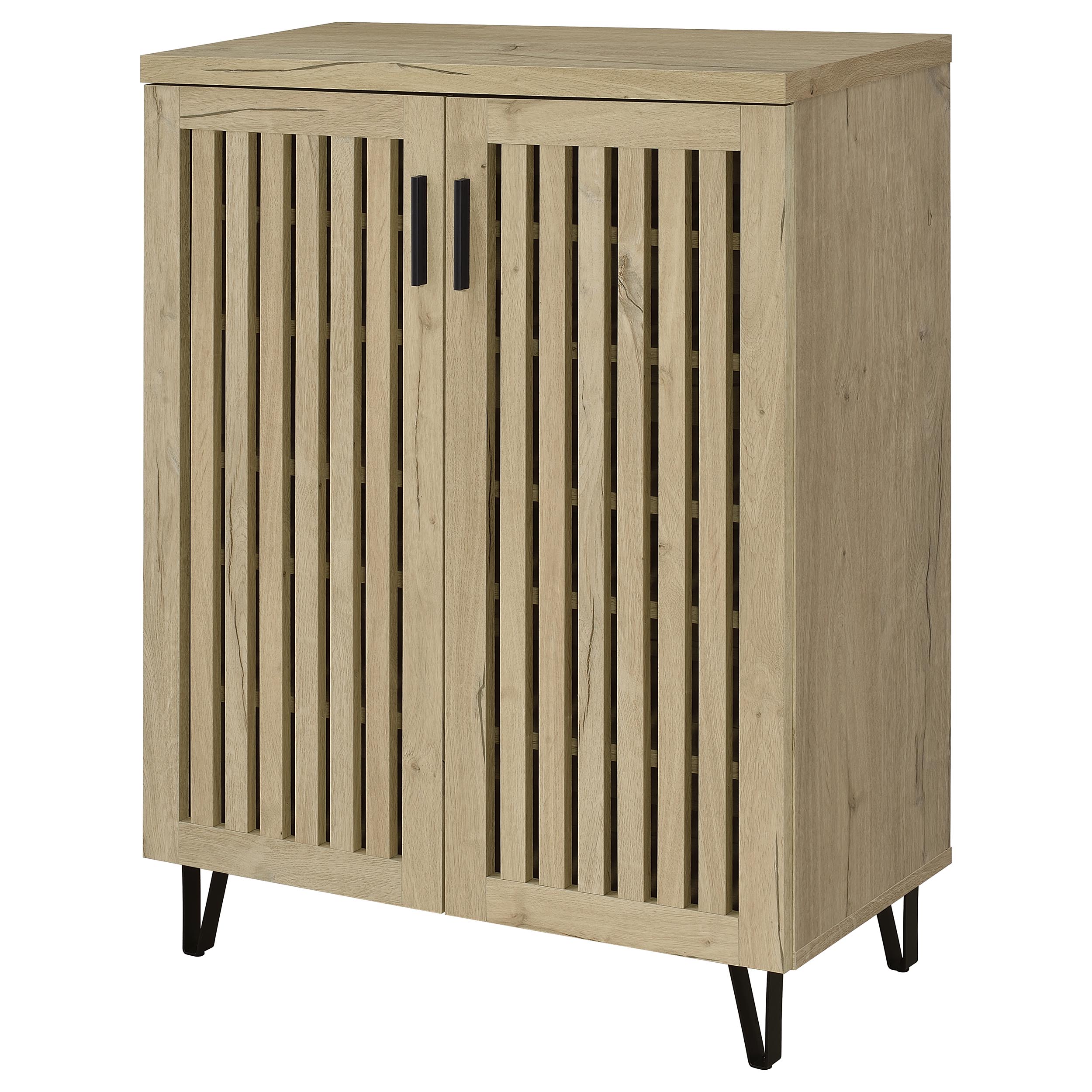 Brixton 2-door Entryway Shoe Storage Cabinets Black