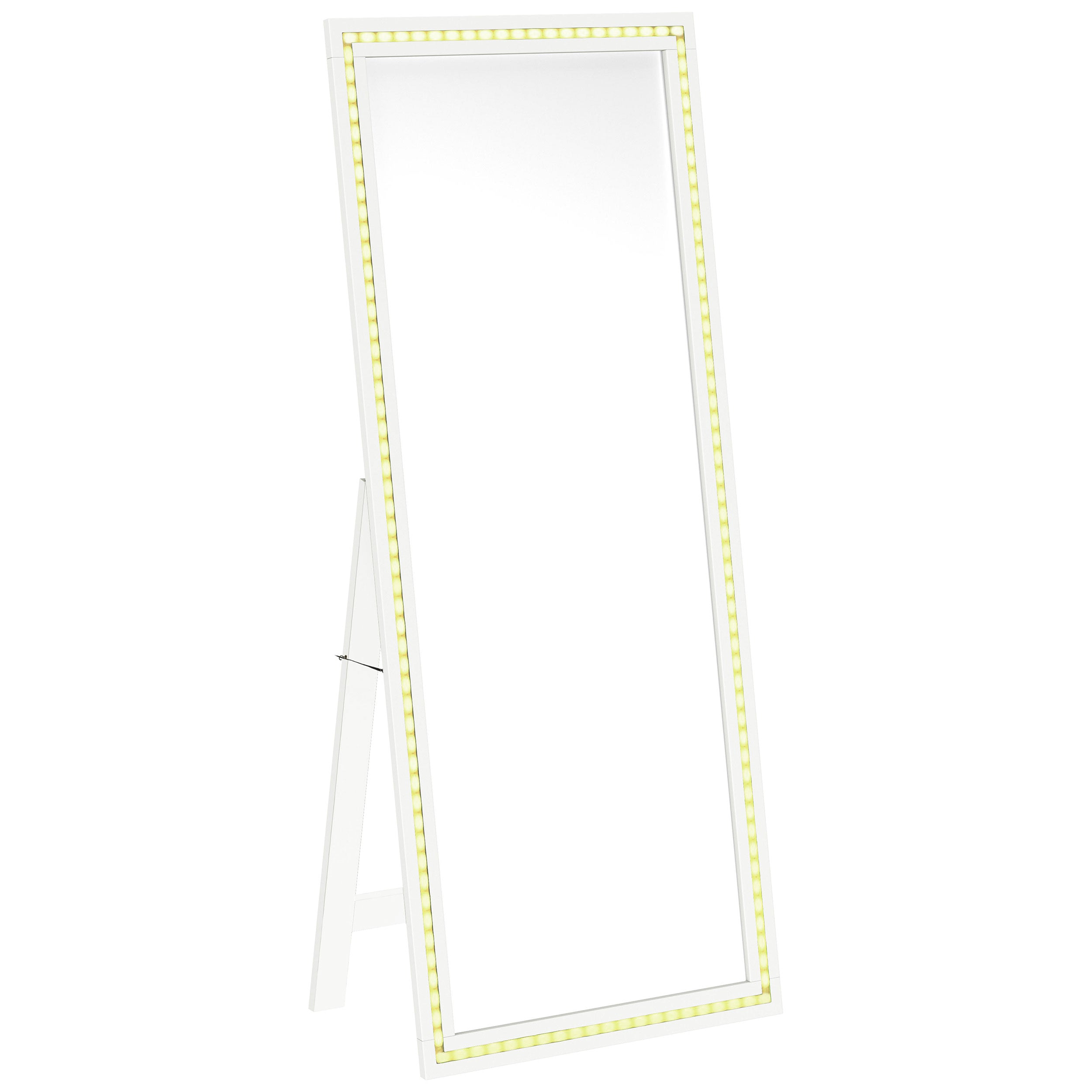Windrose 28 x 67 Inch Tempered LED Standing Mirror Black