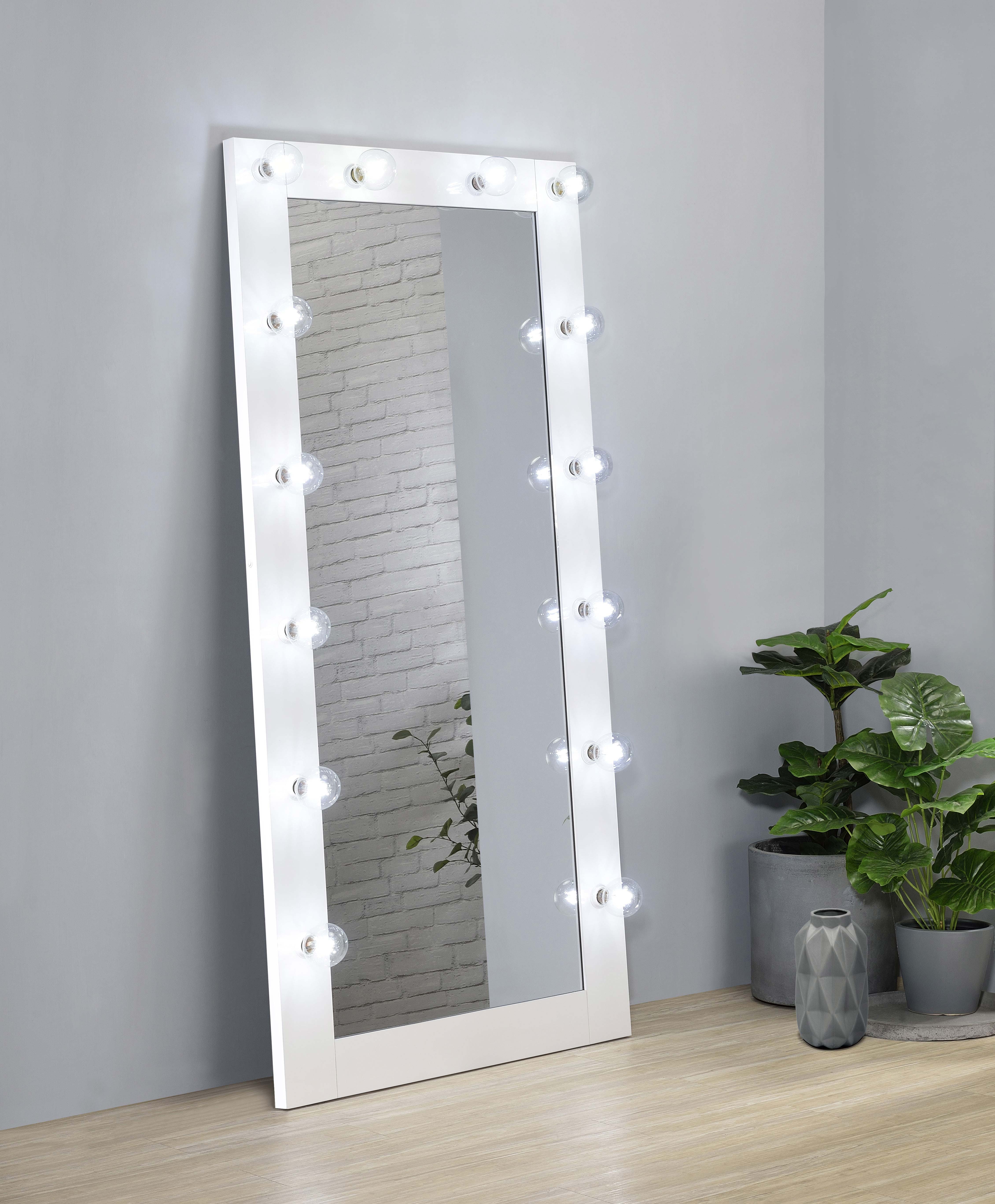 Zayan 32 x 71 Inch Floor Mirror LED Lighting Black Gloss