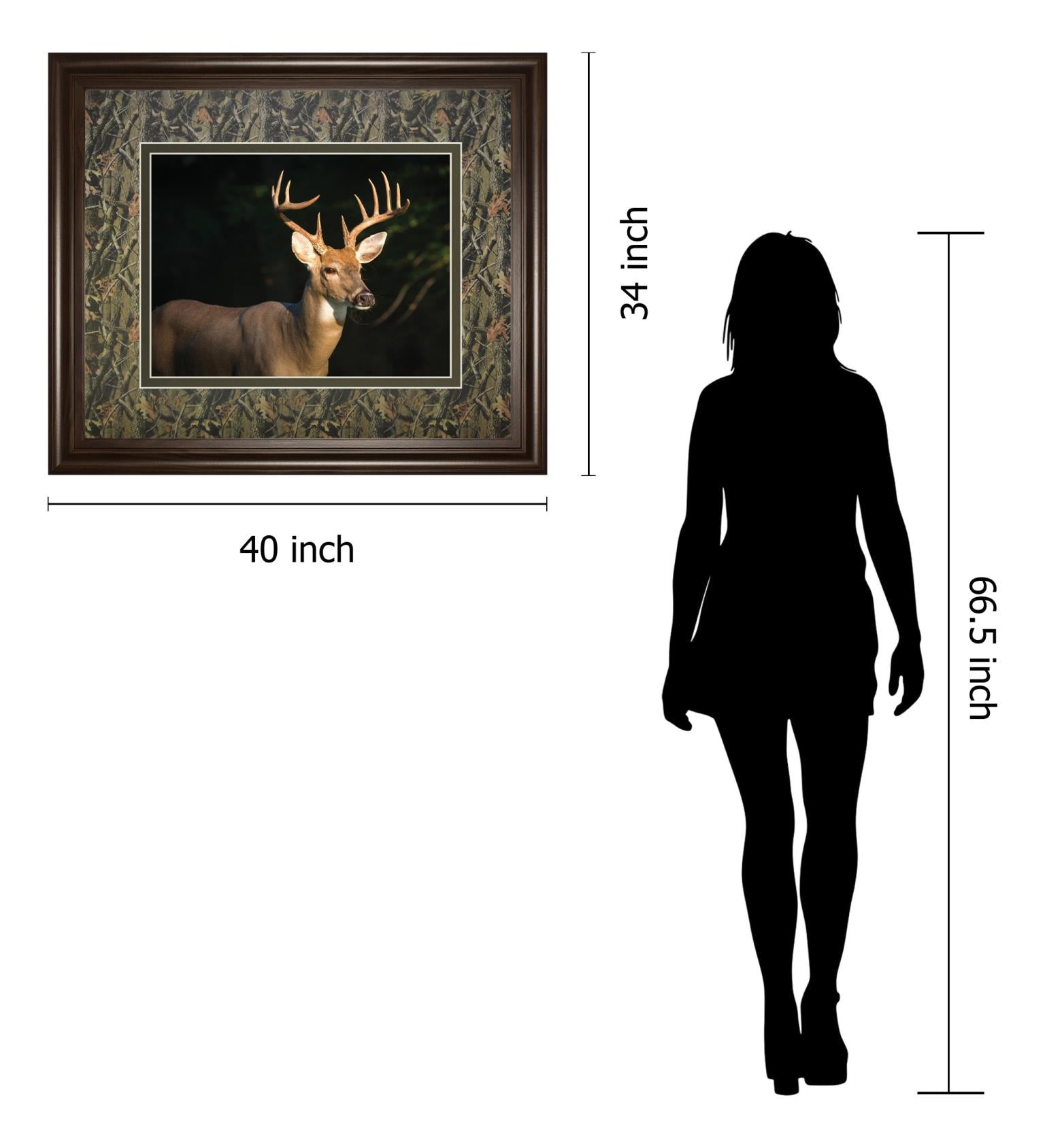 White Tail Buck By Tony Campbell 34X40 Framed Print