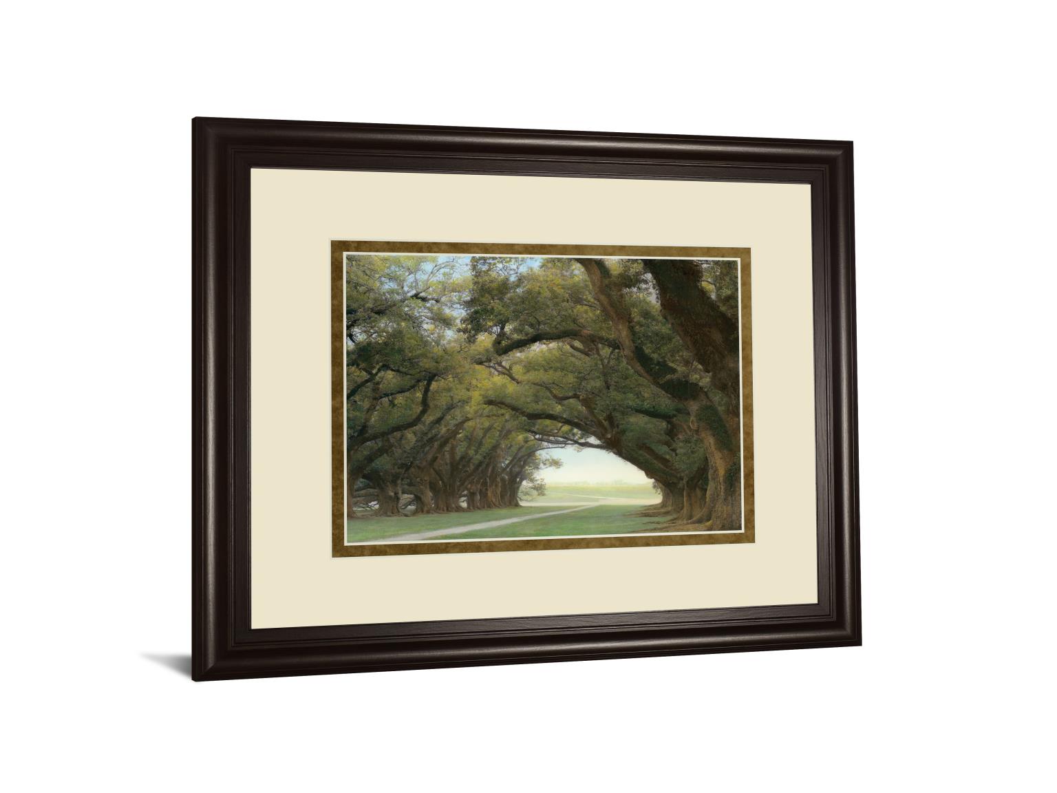 Alley Of The Oaks By William Guion  ***Monl*** 34X40 Framed Print
