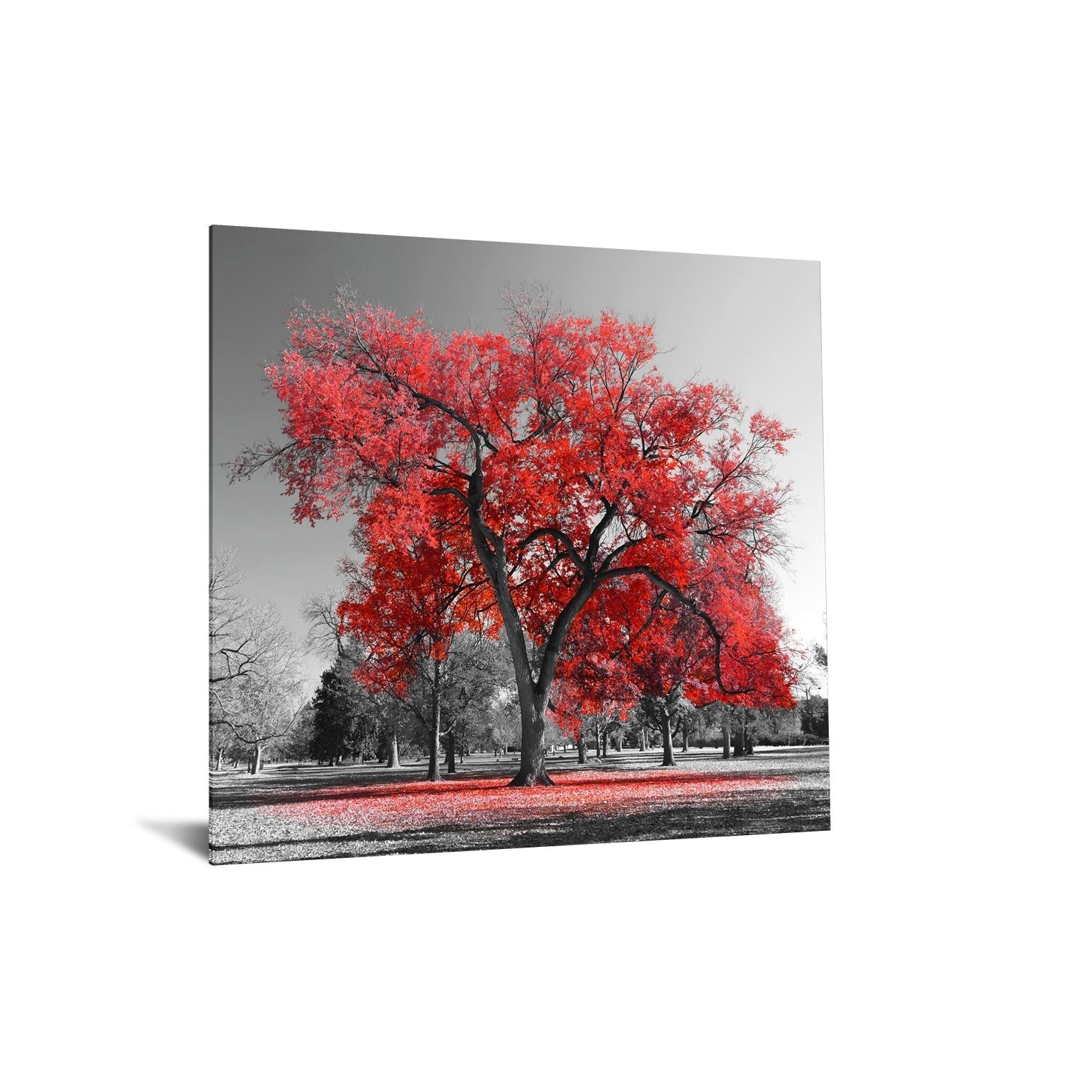 Temp Glass W/Foil - Red Tree Tempered Glass