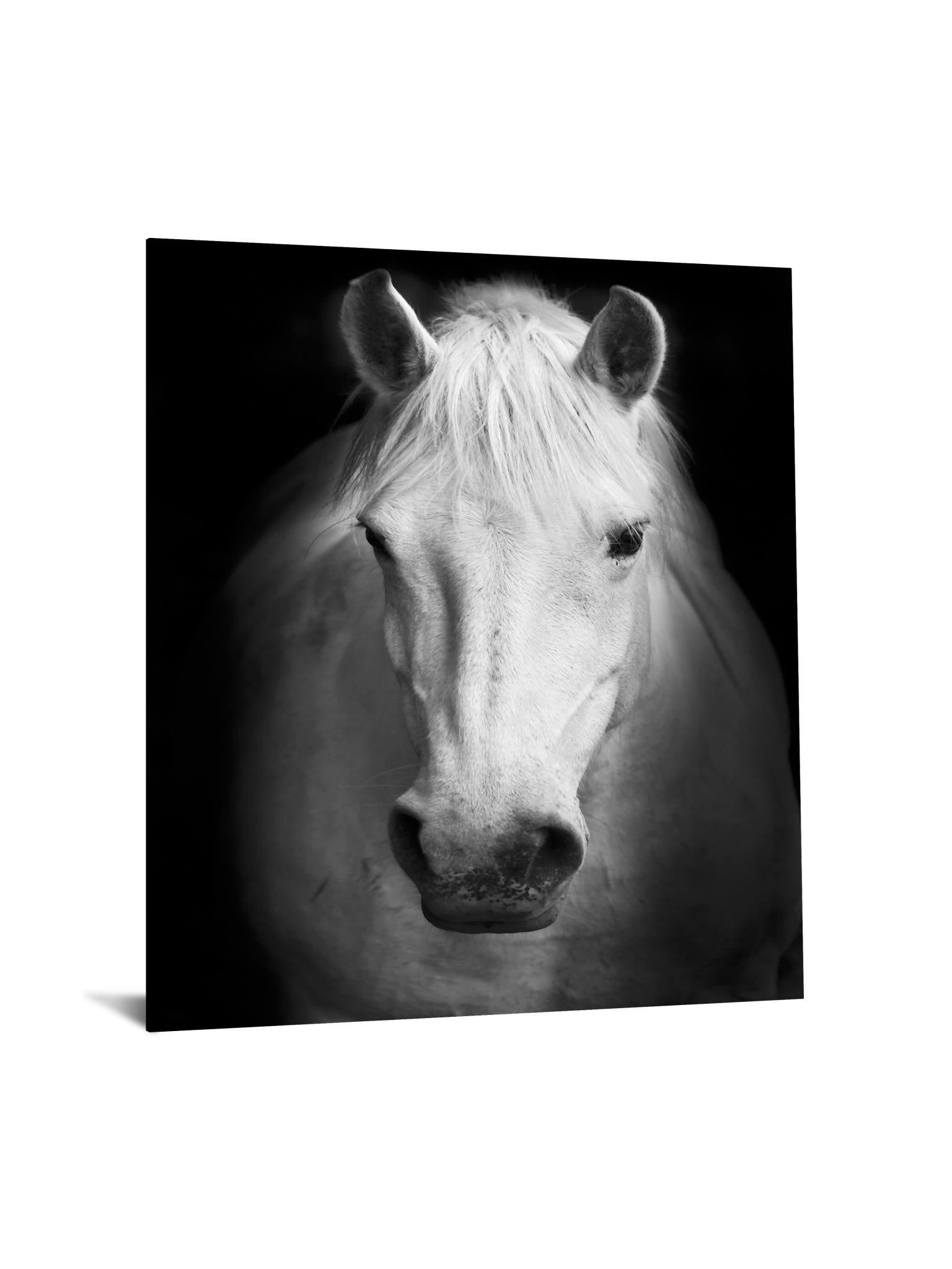 Temp Glass W/Foil - White Horse Tempered Glass