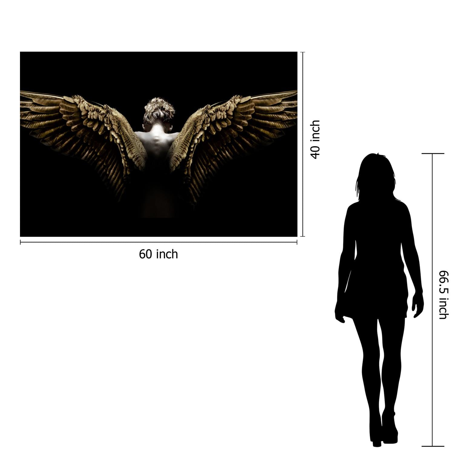 Temp Glass W/Foil - Spread Wings Tempered Glass