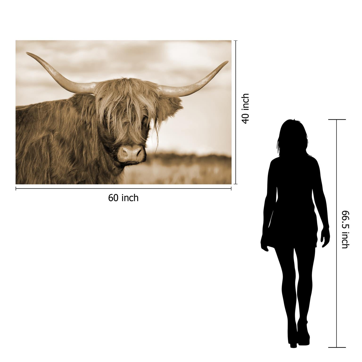 Temp Glass W/Foil - Highland Cow 1 Tempered Glass