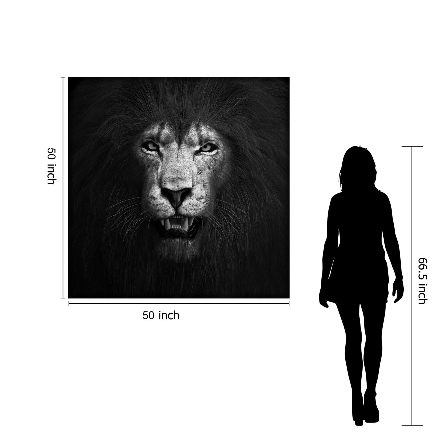 Temp Glass W/Foil -Lion B & W Tempered Glass