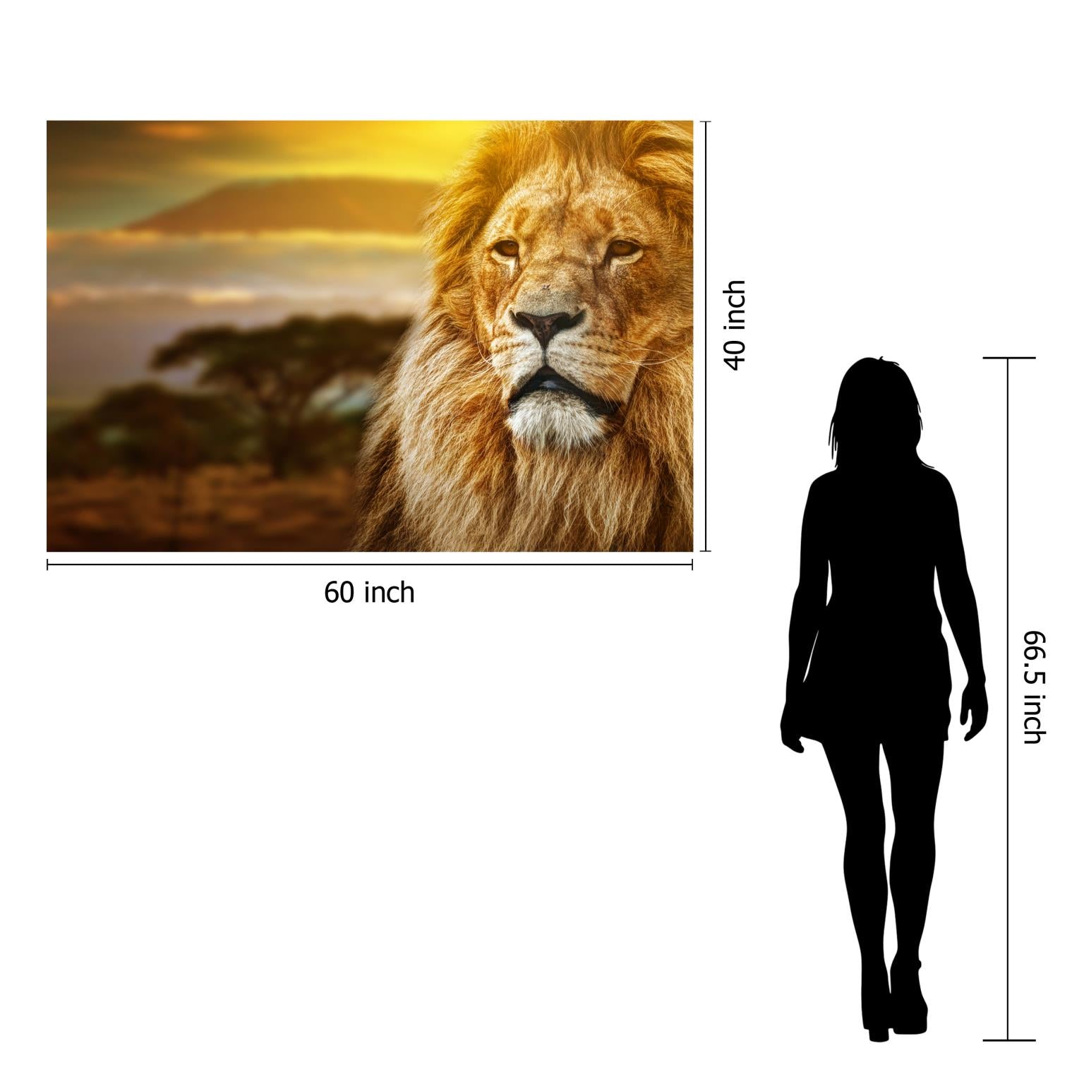Temp Glass W/Foil -Lion Safari Tempered Glass